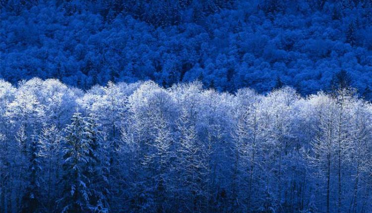Hiver